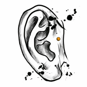 Dermal anchor ohr 300x300