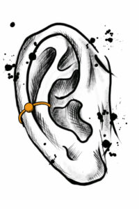 Ohr inner conch 200x300