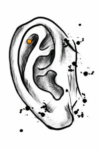 Ohr outer conch 200x300